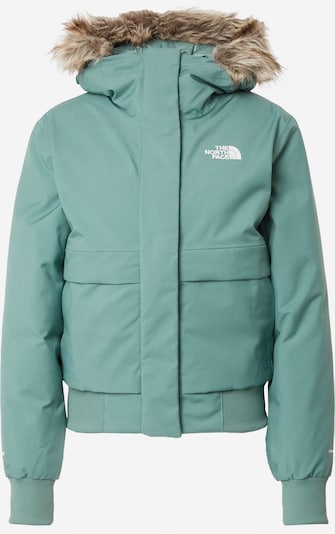 THE NORTH FACE Outdoor jakna 'ARCTIC' u pastelno zelena / bijela, Pregled proizvoda