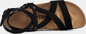 Bayton Sandalen met riem 'Armidale' in Zwart