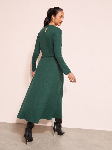 Friends Like These Kleid in Grün