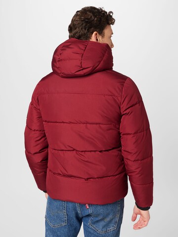 Veste mi-saison HOLLISTER en rouge