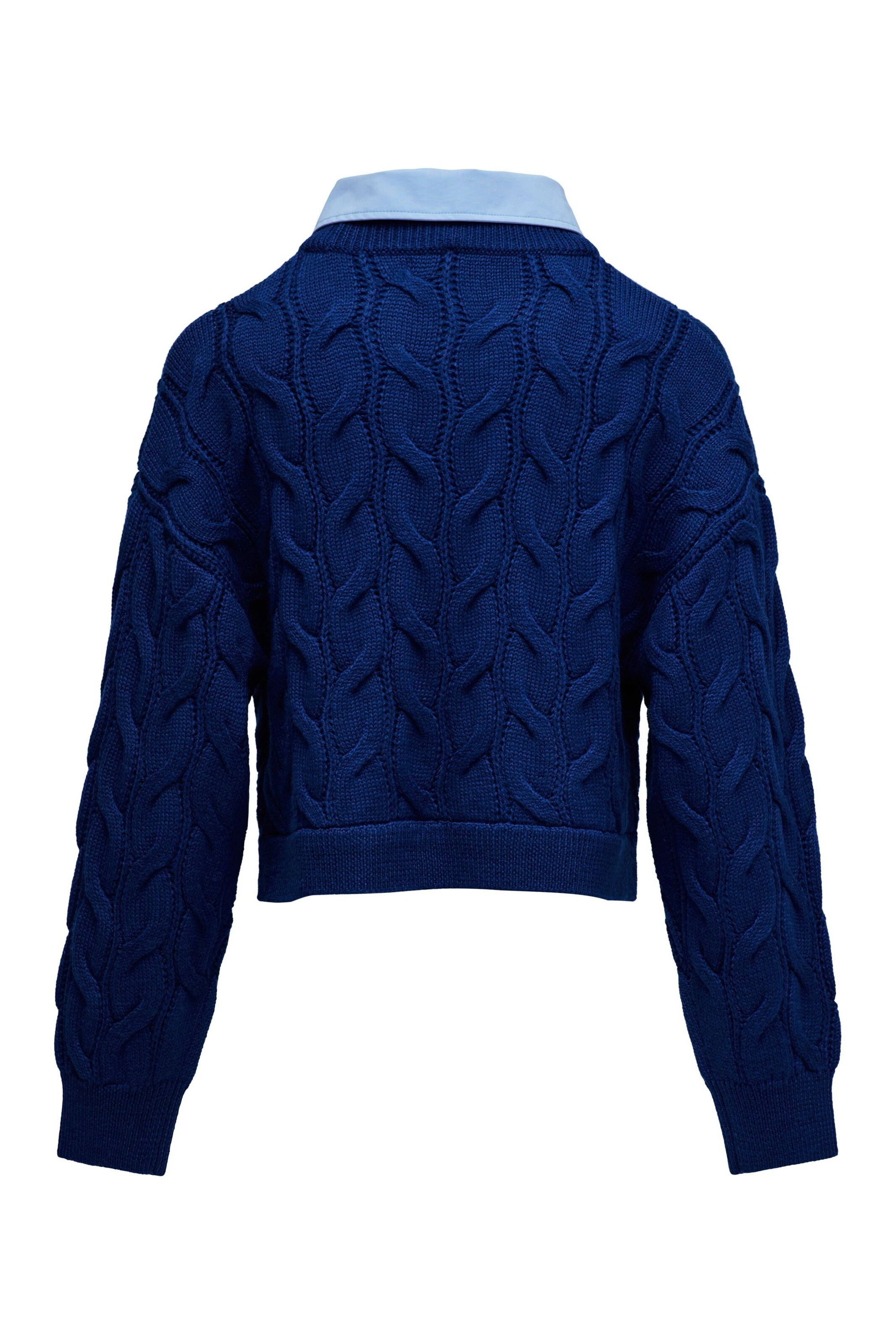 Salsa Jeans Pullover in Blau