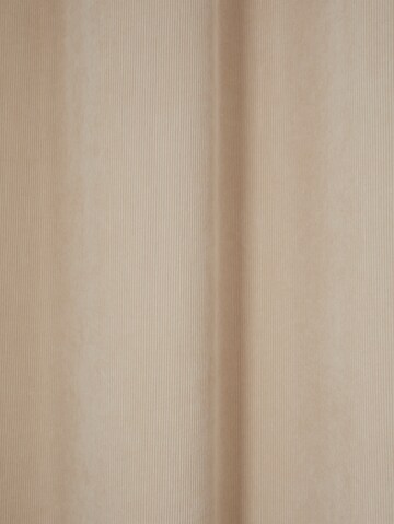 TOM TAILOR Curtains & Drapes in Beige