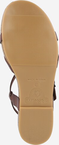 Flip-flops de la COSMOS COMFORT pe maro