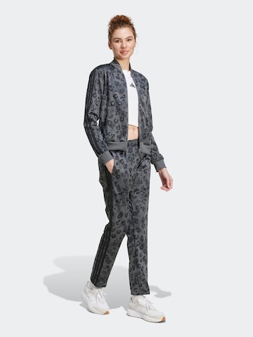 ADIDAS SPORTSWEAR Тренировочный костюм в Серый: спереди