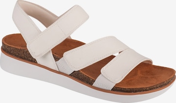 SKECHERS Sandal 'Skechers Lifted Comfort' in White: front