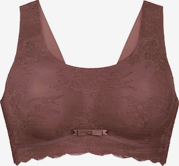 ANITA Mieder 'Essentials Lace' in Lila: Vorderseite
