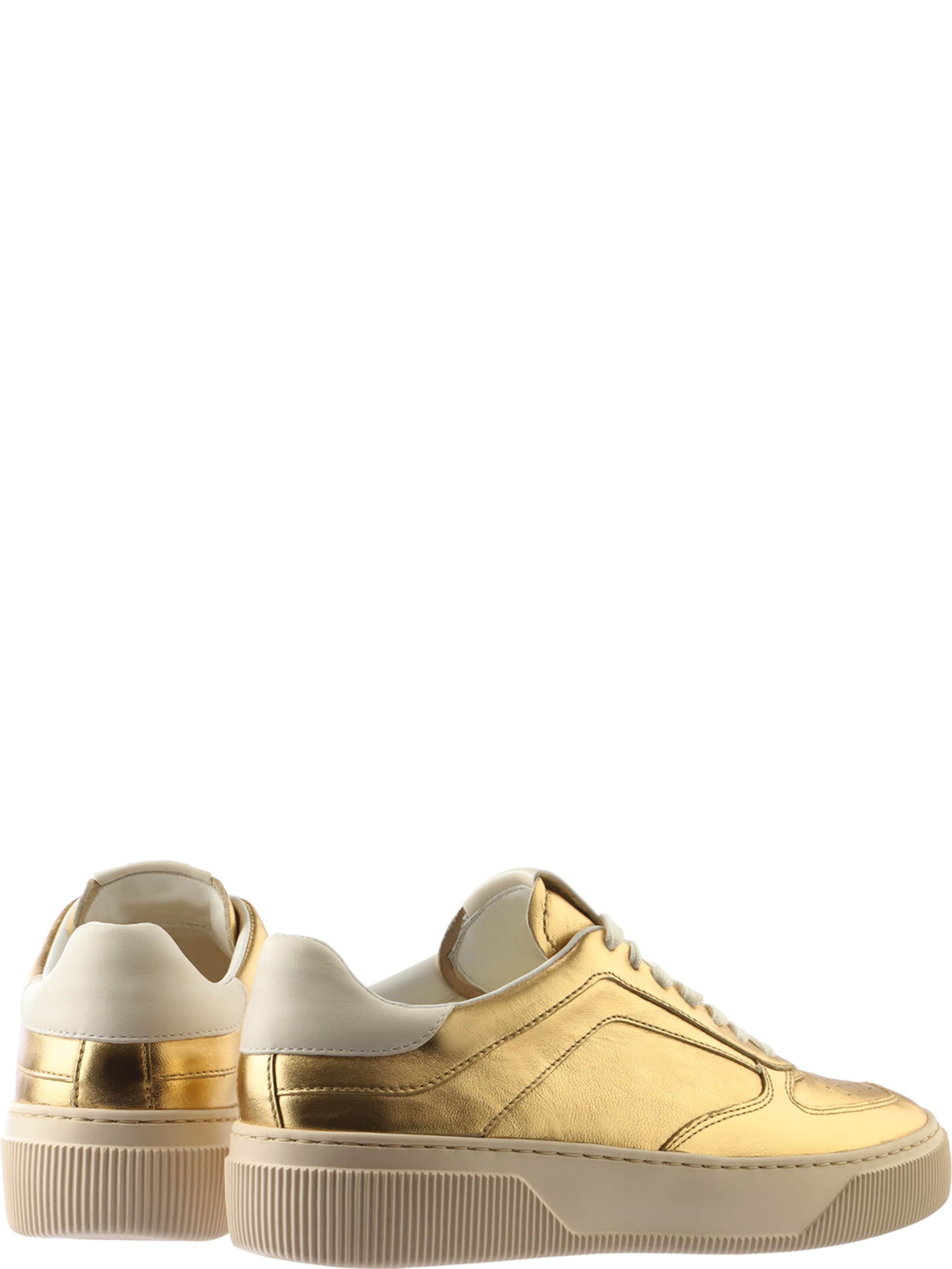 Högl Sneaker ' TERANCE ' in Bronze