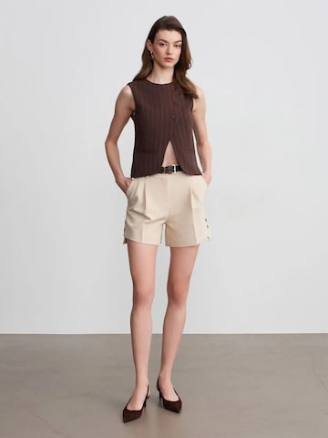 Dilvin Regular Trousers in Beige