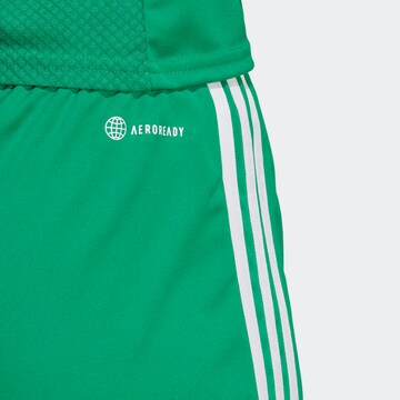 ADIDAS PERFORMANCE Regular Sports trousers 'Tiro 23 League' in Green