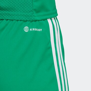 ADIDAS PERFORMANCE Regular Workout Pants 'Tiro 23 League' in Green