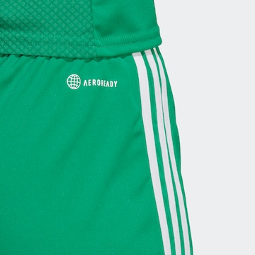 regular Pantaloni sportivi 'Tiro 23 League' di ADIDAS PERFORMANCE in verde