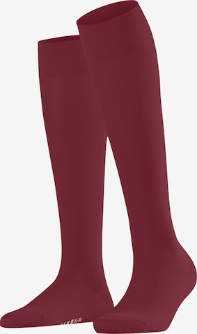 FALKE Knee High Socks 'Cotton Touch' in Red: front