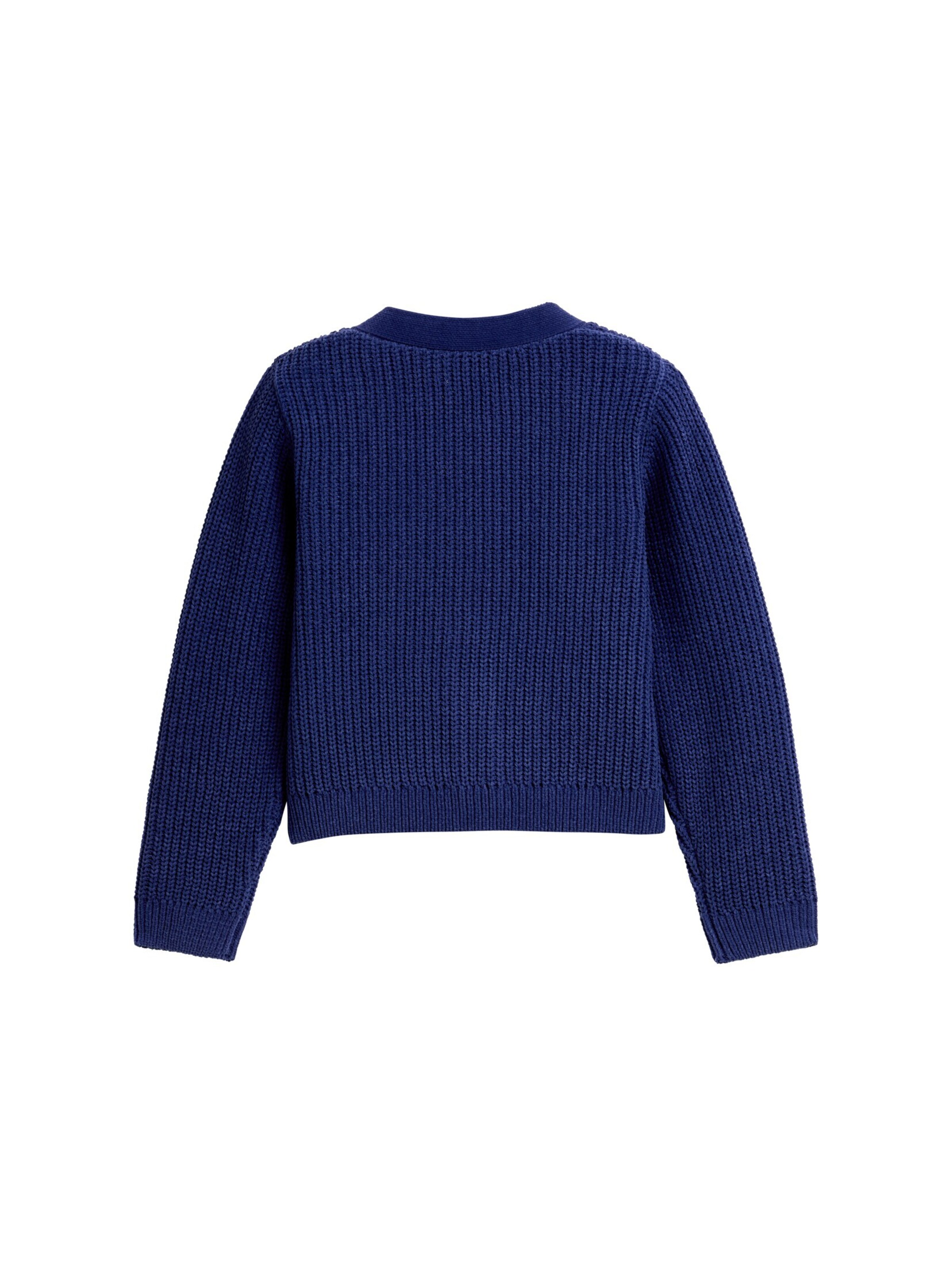 Giacchetta di TOM TAILOR in blu