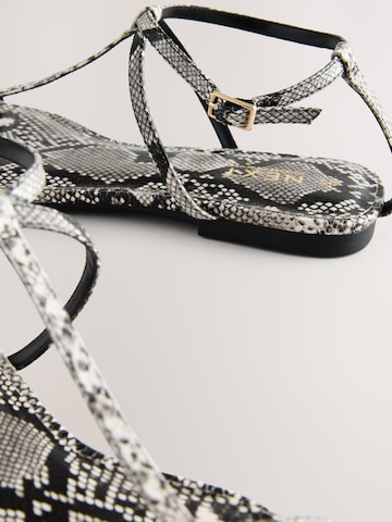 Next - Sandalias con hebilla 'Forever Comfort' en gris
