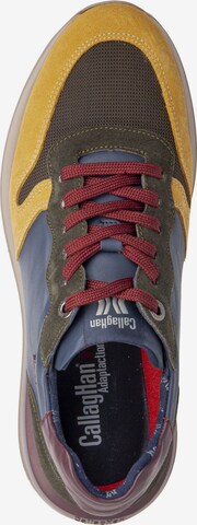 Callaghan Sneakers in Mixed colors