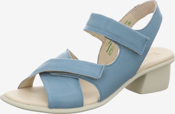 THINK! Pumps 'Vivi' in Blue: front