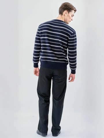 TEESHOPPEN Trui ' Striped ' in Blauw: terug