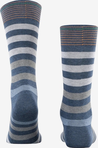 BURLINGTON Socks in Blue