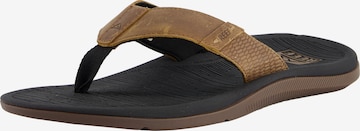 REEF Beach & Pool Shoes 'Santa Ana LE' in Brown: front