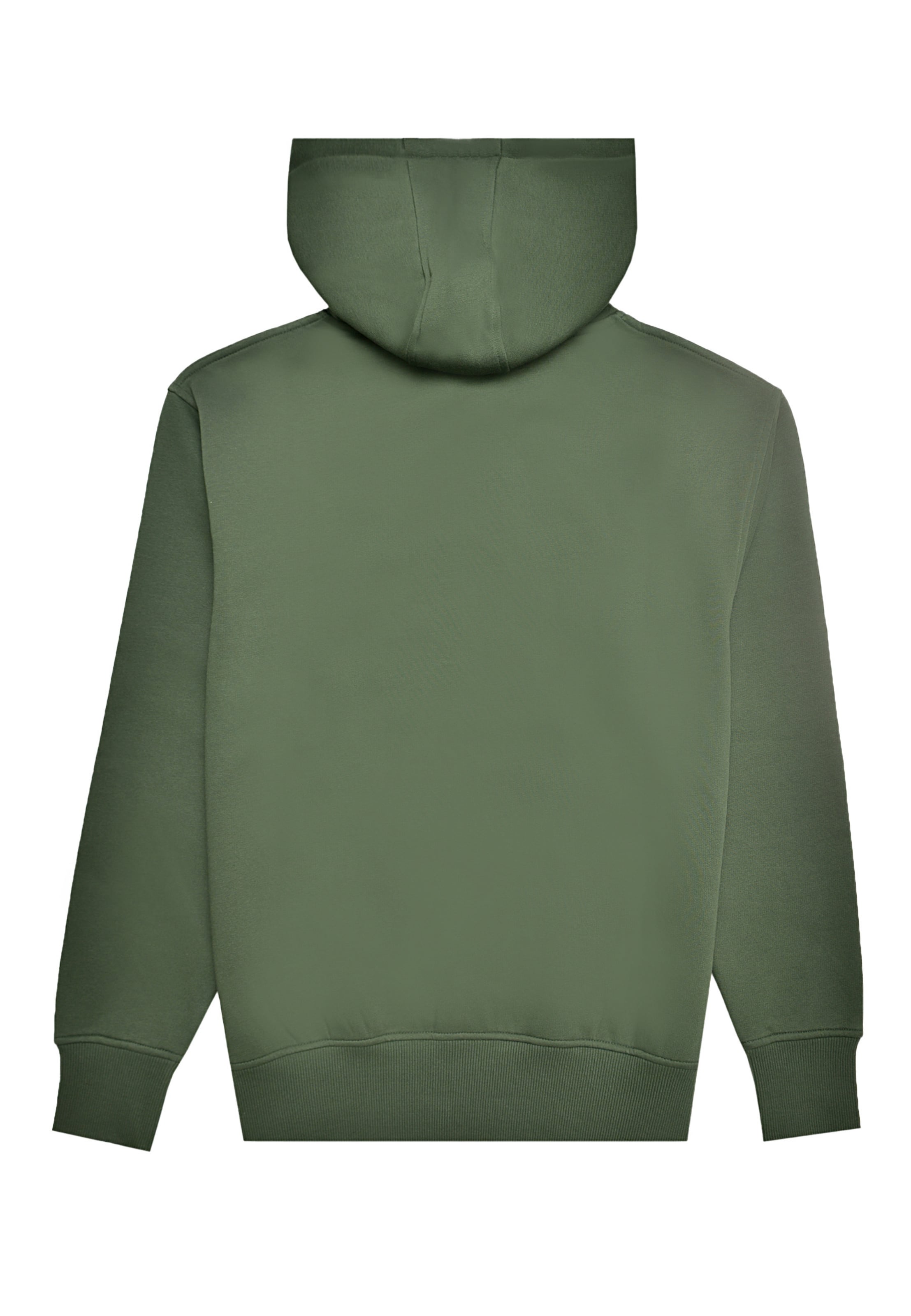 883Police Sweatshirt 'DELUNGRA' in Green