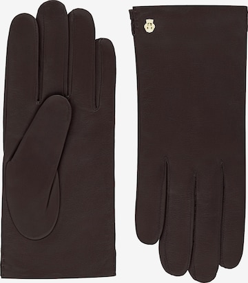 Roeckl Lederhandschuhe 'ODESSA' in Braun: Vorderseite