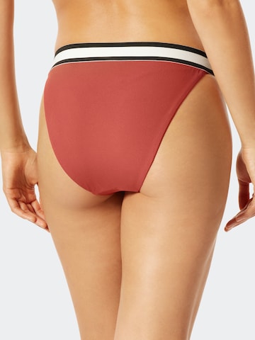 SCHIESSER - Braga de bikini ' Aqua Californian Dream ' en rojo
