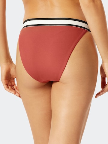 SCHIESSER Bikini Bottoms ' Aqua Californian Dream ' in Red