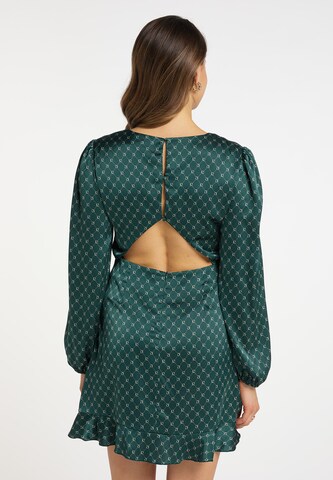 faina Shirt Dress in Green