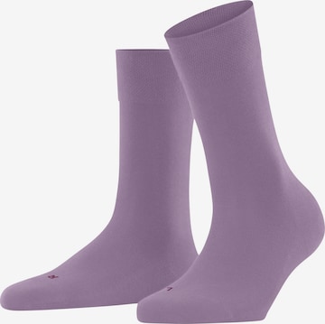 FALKE Socks 'Sensitive London' in Purple: front