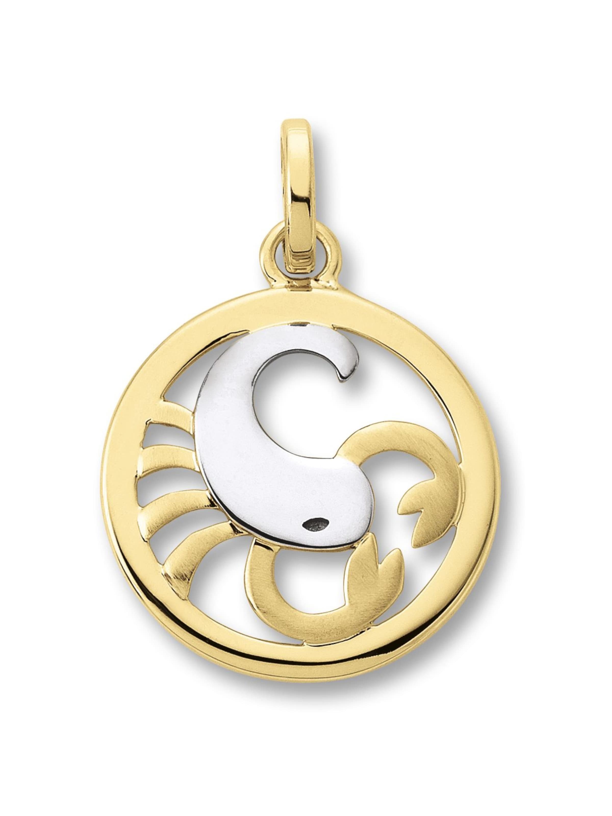 ONE ELEMENT Anhänger 'Skorpion' in Gold: Vorderseite