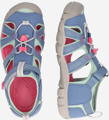 KEEN Open schoenen in Blauw