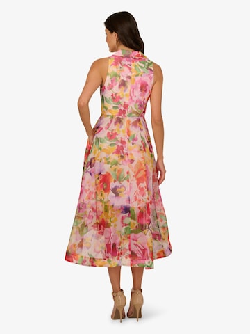 Adrianna Papell Kleid in Pink
