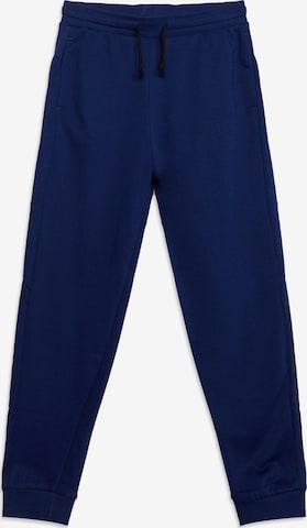 Tapered Pantaloni sportivi di 4F Junior in blu: frontale