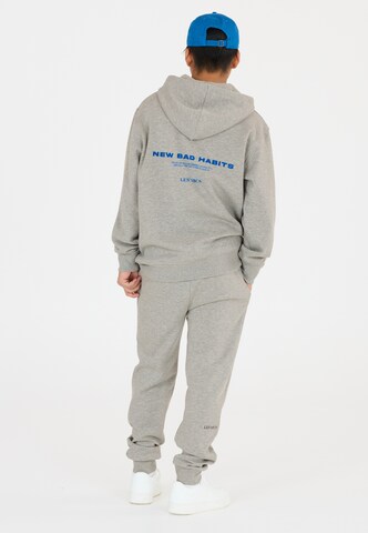 Les'Arcs Regular Hose 'Abeni' in Grau