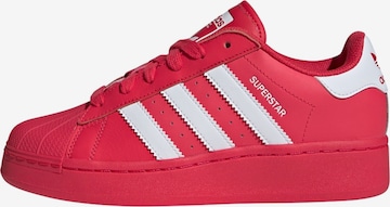 Baskets basses 'Superstar XLG' ADIDAS ORIGINALS en rose : devant