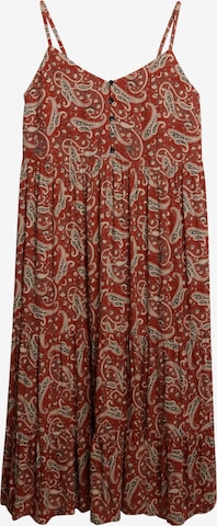 Superdry Kleid in Braun: Vorderseite
