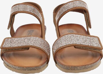 IGI&CO Strap Sandals in Brown