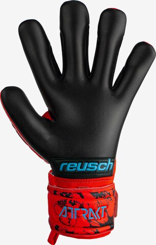 REUSCH Sporthandschuhe 'Attrakt Grip Evolution' in Rot