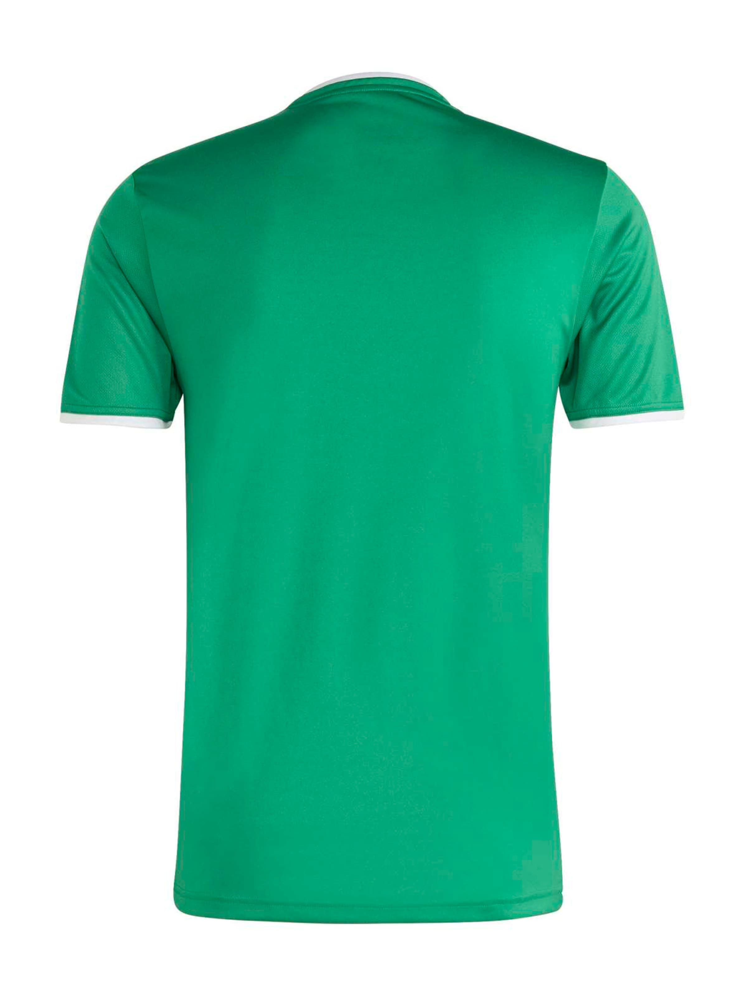 ADIDAS PERFORMANCE Performance shirt 'ENT26' in Green