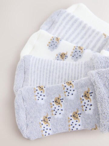 Chaussettes Next en gris