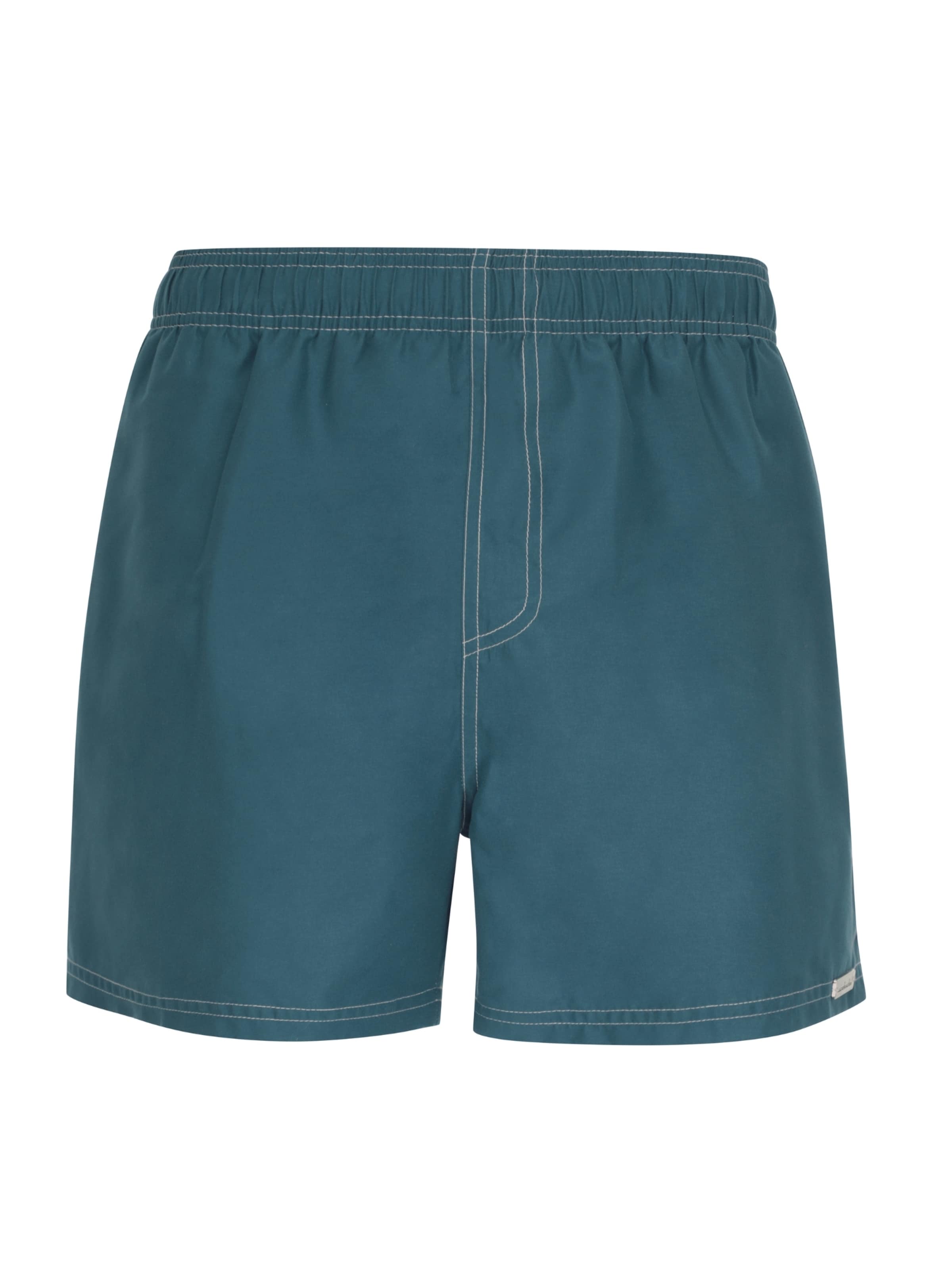 wavebreaker Board Shorts in Blue: front