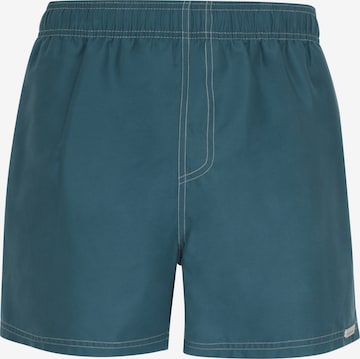 wavebreaker Board Shorts in Blue: front