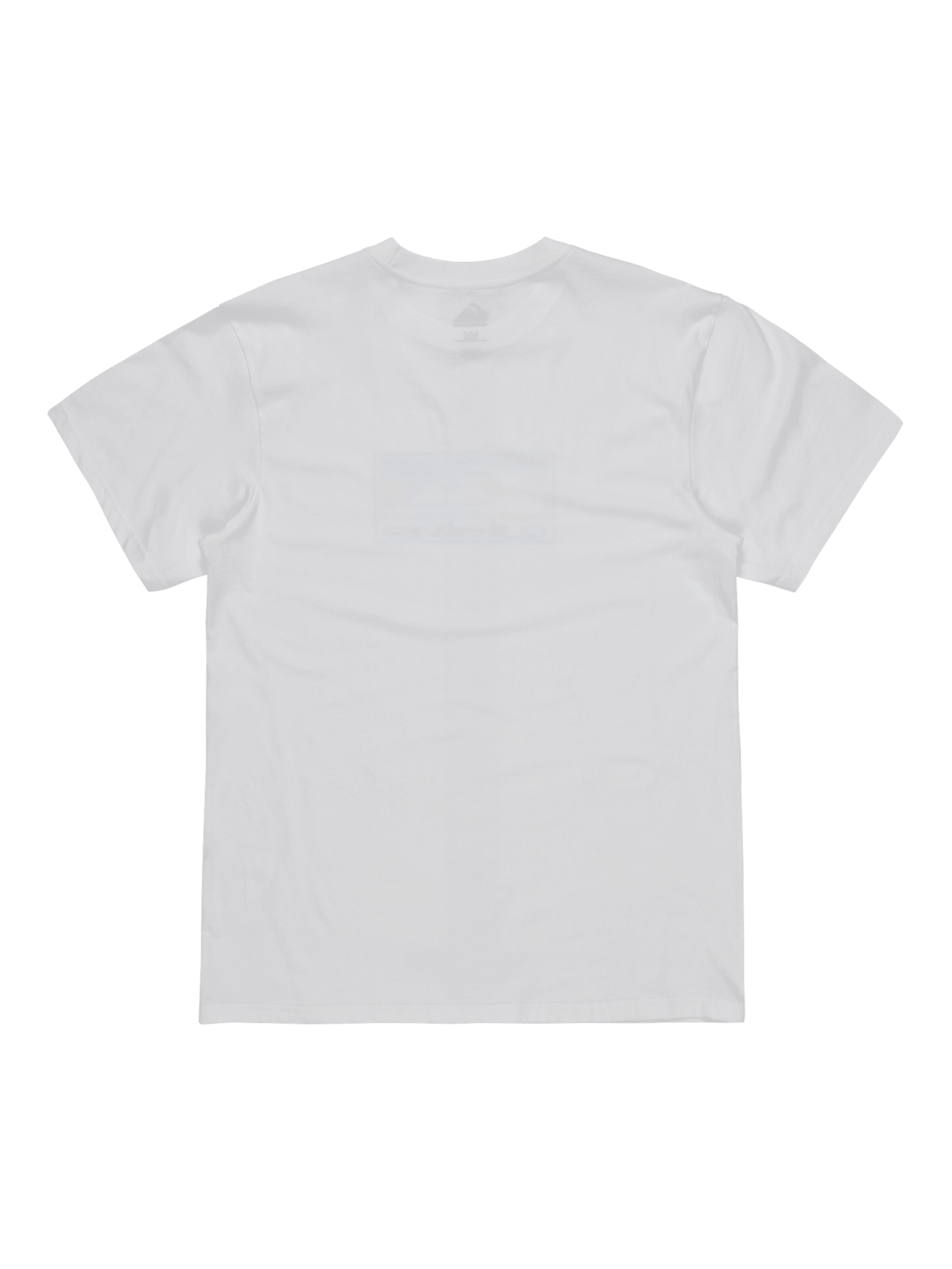 T-Shirt 'Ev Gradient Box' QUIKSILVER en blanc
