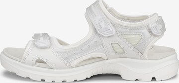 ECCO Trekkingsandale in Silber