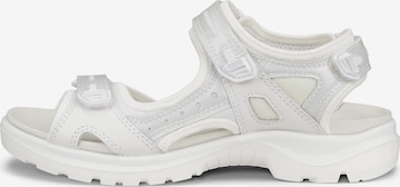 ECCO Hiking Sandals in Silver