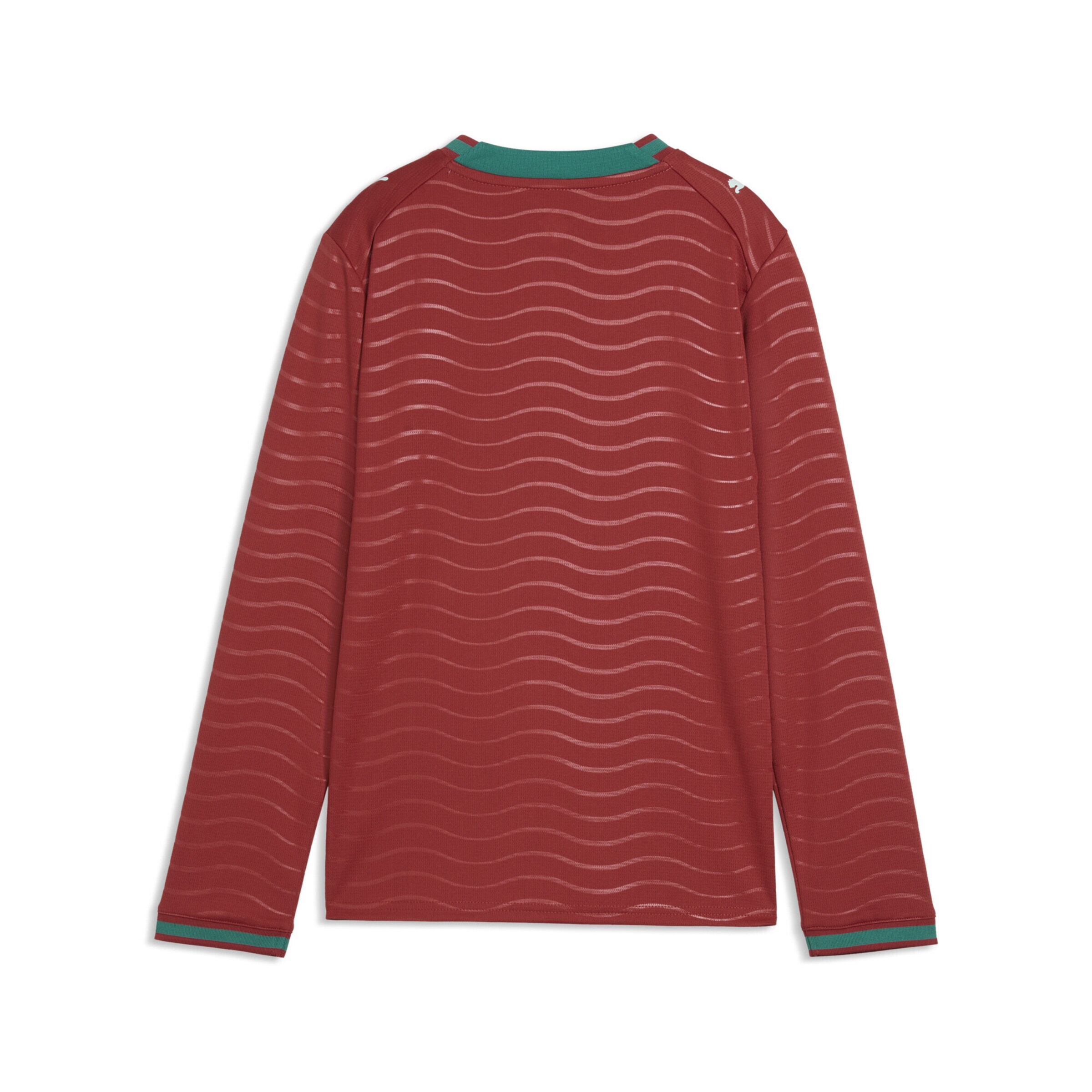 PUMA Performance shirt 'Portugal 2026' in Red