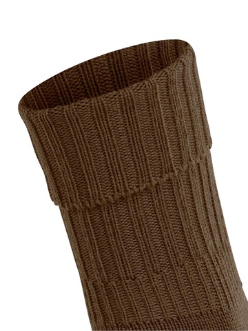 FALKE Socks 'Striggings Rib' in Brown