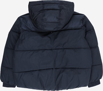 TOMMY HILFIGER Winter jacket 'New York' in Blue