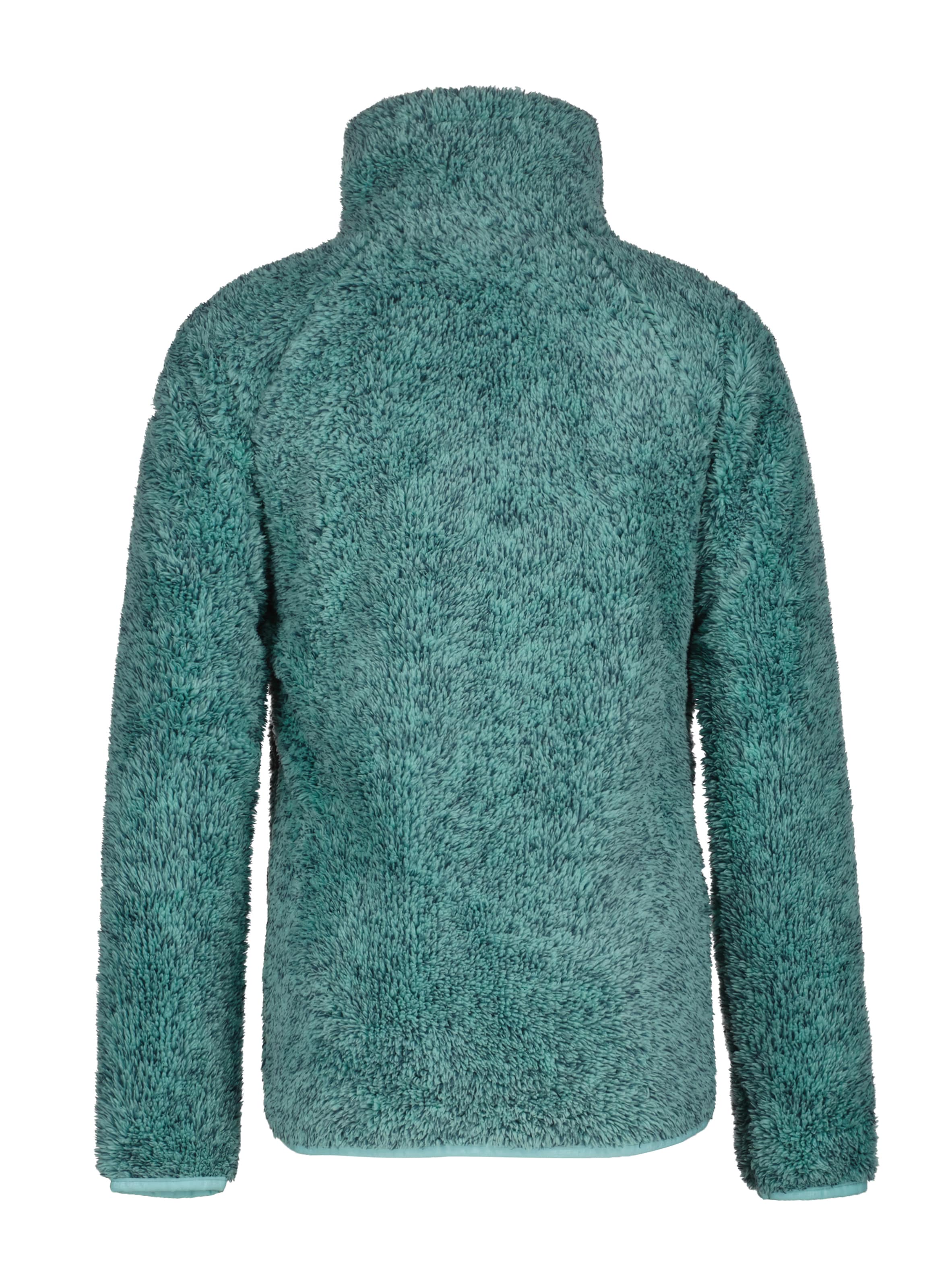 ICEPEAK Athletic Fleece Jacket in Green