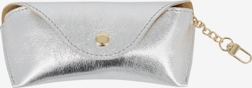 Brise Case 'Brillenetui' in Silver: front